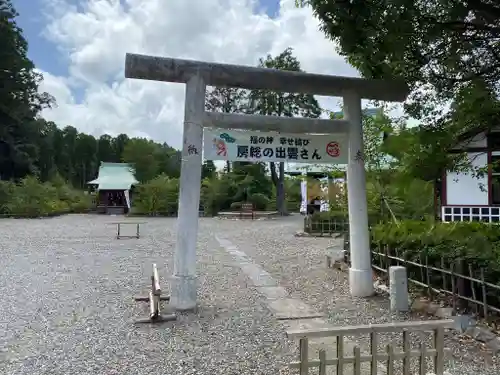 出雲大社上総教会（国吉神社内）の鳥居