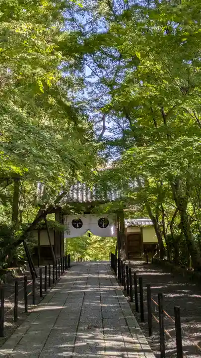 光明寺(粟生光明寺)(京都府)