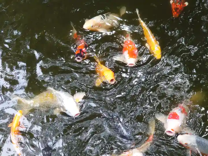 よみうりランド観音(東京都)