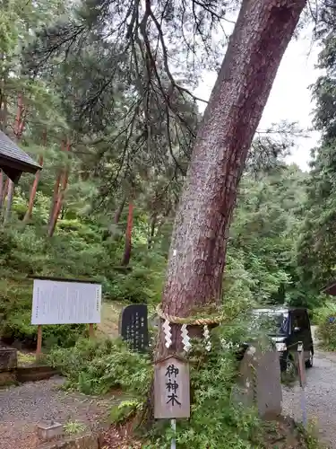 建勲神社の自然