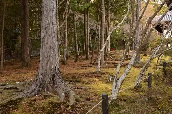 井山 宝福寺(岡山県)