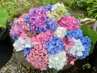 普門寺(切り絵御朱印発祥の寺)の手水舎