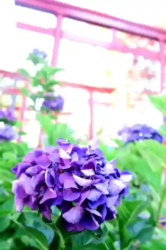 空知神社の自然