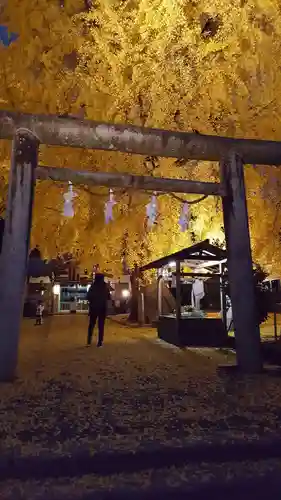 丹生酒殿神社の鳥居