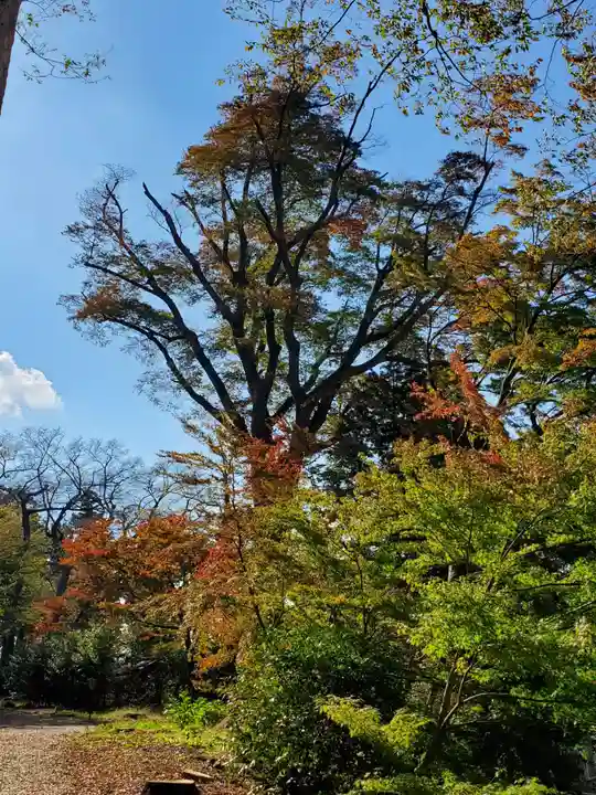 神炊館神社 ⁂奥州須賀川総鎮守⁂(福島県)