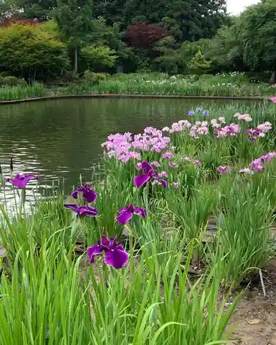 伊佐須美神社の自然