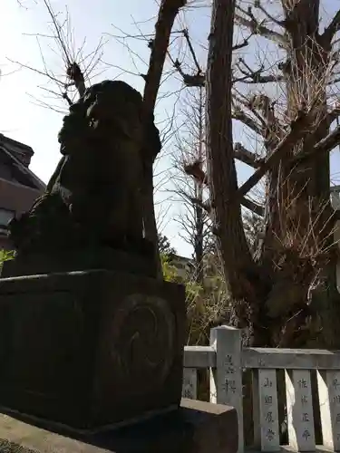 桐ヶ谷氷川神社の狛犬