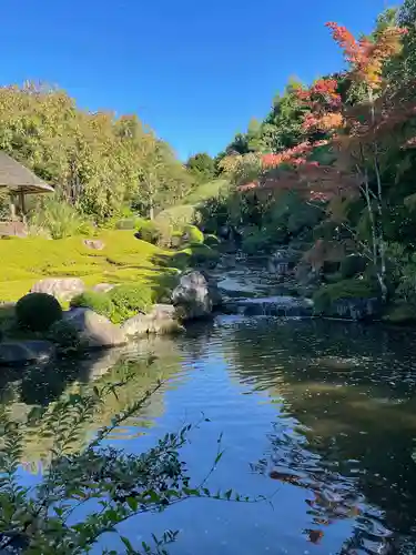 退蔵院の庭園