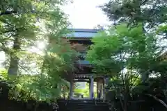 隆国寺の山門