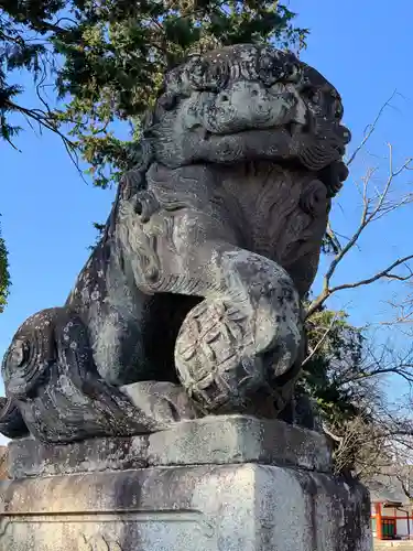 富士山本宮浅間大社の狛犬