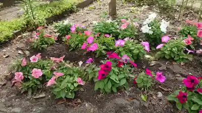 海老坂薬師の自然