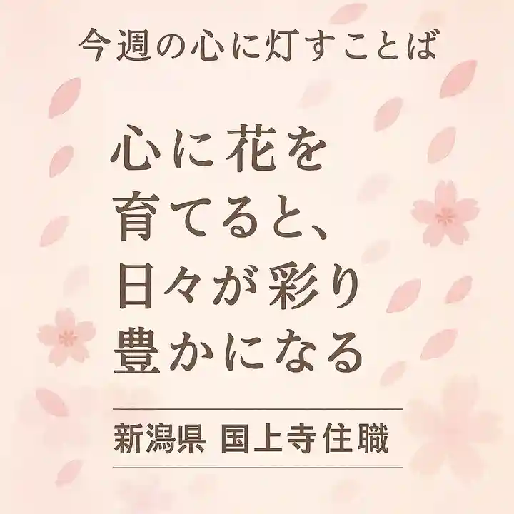 国上寺(新潟県)