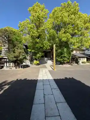 大乗院の{uncategorized: "未分類", other: "その他", undefined: "問題あり", building: "その他建物", grave: "お墓", sacred_gate: "鳥居", guardian: "狛犬", statue: "像", buddha: "仏像", history: "歴史", nature: "自然", garden: "庭園", animal: "動物", pagoda: "塔", temizu: "手水舎", mountain_gate: "山門・神門", sanctuary: "本殿・本堂", subordinate: "末社・摂社", art: "芸術", scenery: "景色", jizo: "地蔵", ema: "絵馬", goshuin: "御朱印", omikuji: "おみくじ", items: "授与品その他", amulet: "お守り", goshuincho: "御朱印帳", eats: "食事", festival: "お祭り", votive_dance: "神楽", shichigosan: "七五三参", wedding: "結婚式", experience: "体験その他", initially: "初詣", around: "周辺", anti_infection: "感染症対策"}