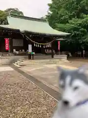 峯ヶ岡八幡神社(埼玉県)