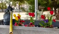 三津厳島神社の手水