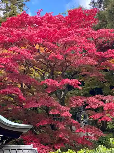 榮攝院（栄摂院）の自然