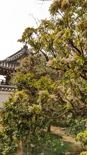 寳塔寺（宝塔寺）(京都府)