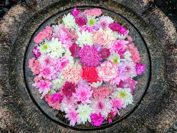 埼玉厄除け開運大師・龍泉寺(切り絵御朱印発祥の寺)の手水舎