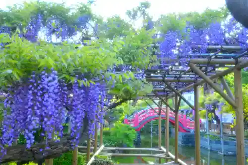 亀戸天神社(東京都)