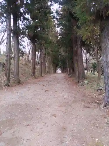 千代ケ岡八幡宮(栃木県)