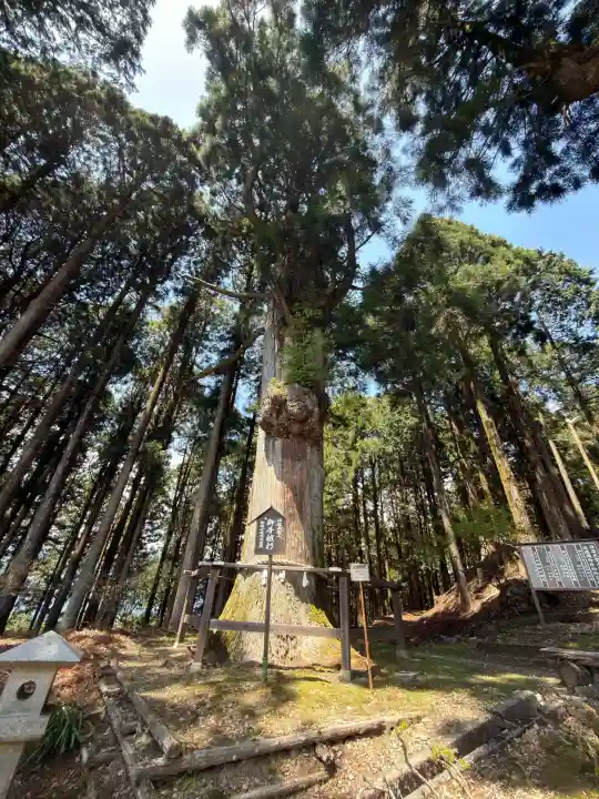 久遠寺の{uncategorized: "未分類", other: "その他", undefined: "問題あり", building: "その他建物", grave: "お墓", sacred_gate: "鳥居", guardian: "狛犬", statue: "像", buddha: "仏像", history: "歴史", nature: "自然", garden: "庭園", animal: "動物", pagoda: "塔", temizu: "手水舎", mountain_gate: "山門・神門", sanctuary: "本殿・本堂", subordinate: "末社・摂社", art: "芸術", scenery: "景色", jizo: "地蔵", ema: "絵馬", goshuin: "御朱印", omikuji: "おみくじ", items: "授与品その他", amulet: "お守り", goshuincho: "御朱印帳", eats: "食事", festival: "お祭り", votive_dance: "神楽", shichigosan: "七五三参", wedding: "結婚式", experience: "体験その他", initially: "初詣", around: "周辺", anti_infection: "感染症対策"}