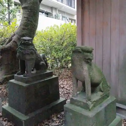 上平井天祖神社の狛犬