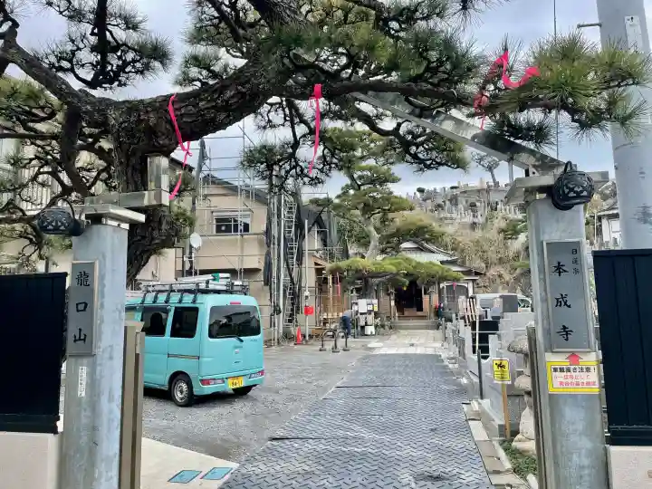 本成寺の{uncategorized: "未分類", other: "その他", undefined: "問題あり", building: "その他建物", grave: "お墓", sacred_gate: "鳥居", guardian: "狛犬", statue: "像", buddha: "仏像", history: "歴史", nature: "自然", garden: "庭園", animal: "動物", pagoda: "塔", temizu: "手水舎", mountain_gate: "山門・神門", sanctuary: "本殿・本堂", subordinate: "末社・摂社", art: "芸術", scenery: "景色", jizo: "地蔵", ema: "絵馬", goshuin: "御朱印", omikuji: "おみくじ", items: "授与品その他", amulet: "お守り", goshuincho: "御朱印帳", eats: "食事", festival: "お祭り", votive_dance: "神楽", shichigosan: "七五三参", wedding: "結婚式", experience: "体験その他", initially: "初詣", around: "周辺", anti_infection: "感染症対策"}