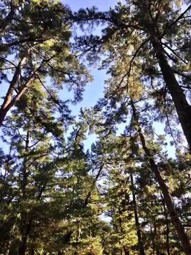 出雲大社の自然