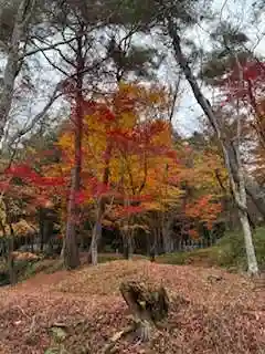 日枝神社(岐阜県)