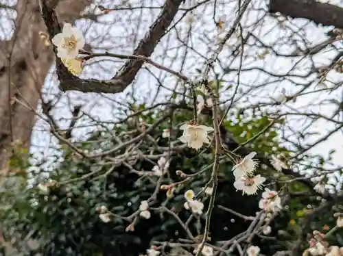西向天神社(東京都)