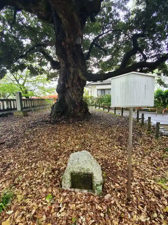 一之宮貫前神社(群馬県)
