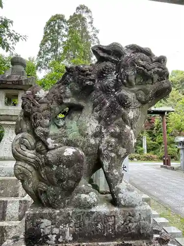 針綱神社の狛犬