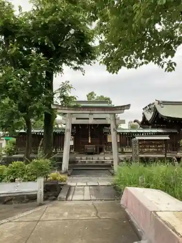 難波大社　生國魂神社の鳥居