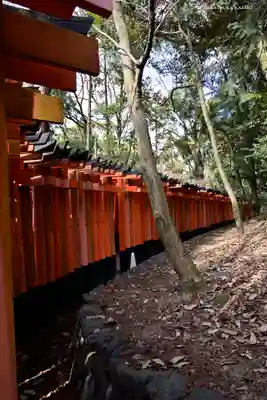 伏見稲荷大社 奥社奉拝所の鳥居