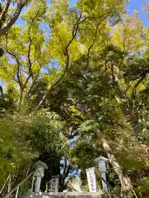 白旗神社(神奈川県)