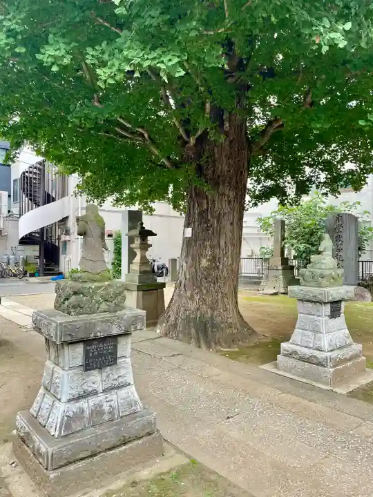 成田山不動大教会(東京都)
