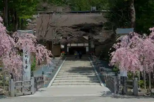 高野山金剛峯寺の山門