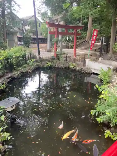 世田谷八幡宮(東京都)