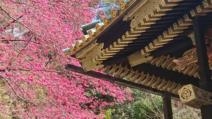 久能山東照宮の本殿・本堂