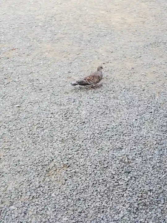楽法寺(雨引観音)(茨城県)