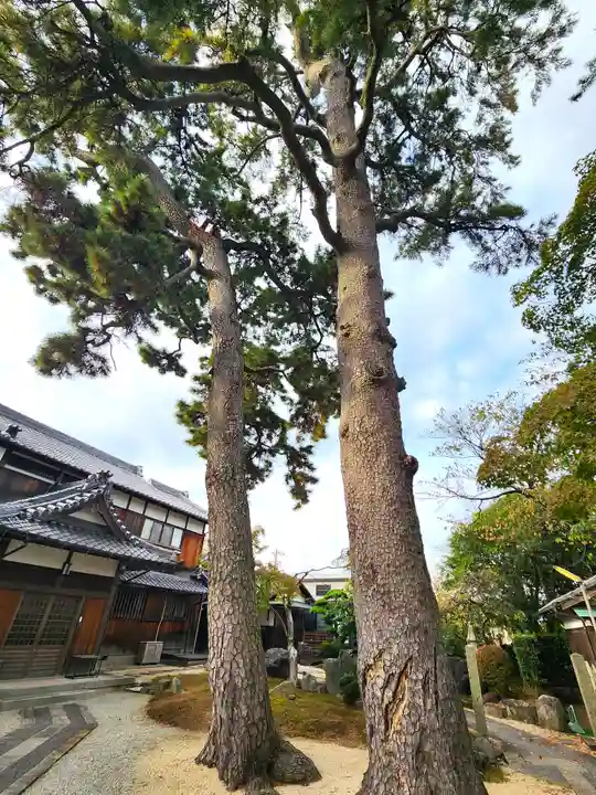 照源寺(三重県)