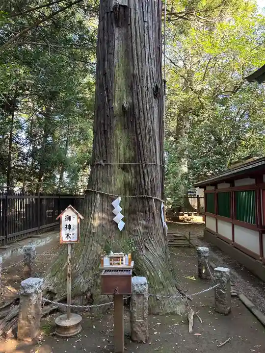 一言主神社(茨城県)
