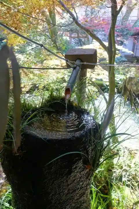 三千院門跡の手水舎