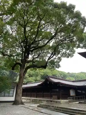 明治神宮(東京都)