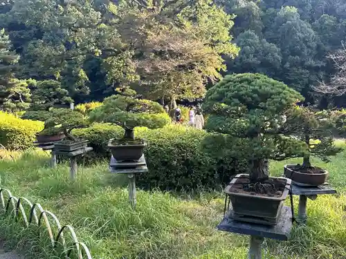 明治神宮(東京都)