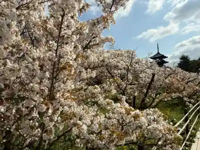 仁和寺(京都府)