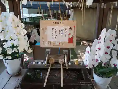 豪徳寺(東京都)