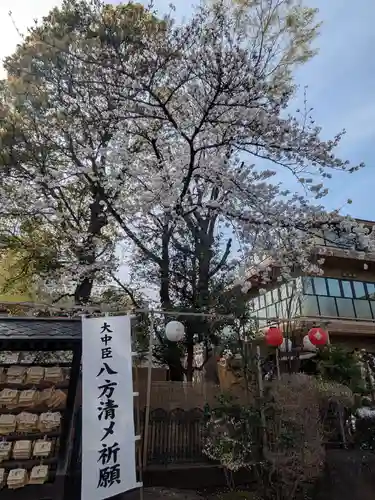 桜神宮(東京都)
