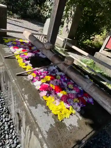 前玉神社(埼玉県)