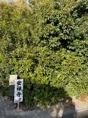 安禅寺(京都府)